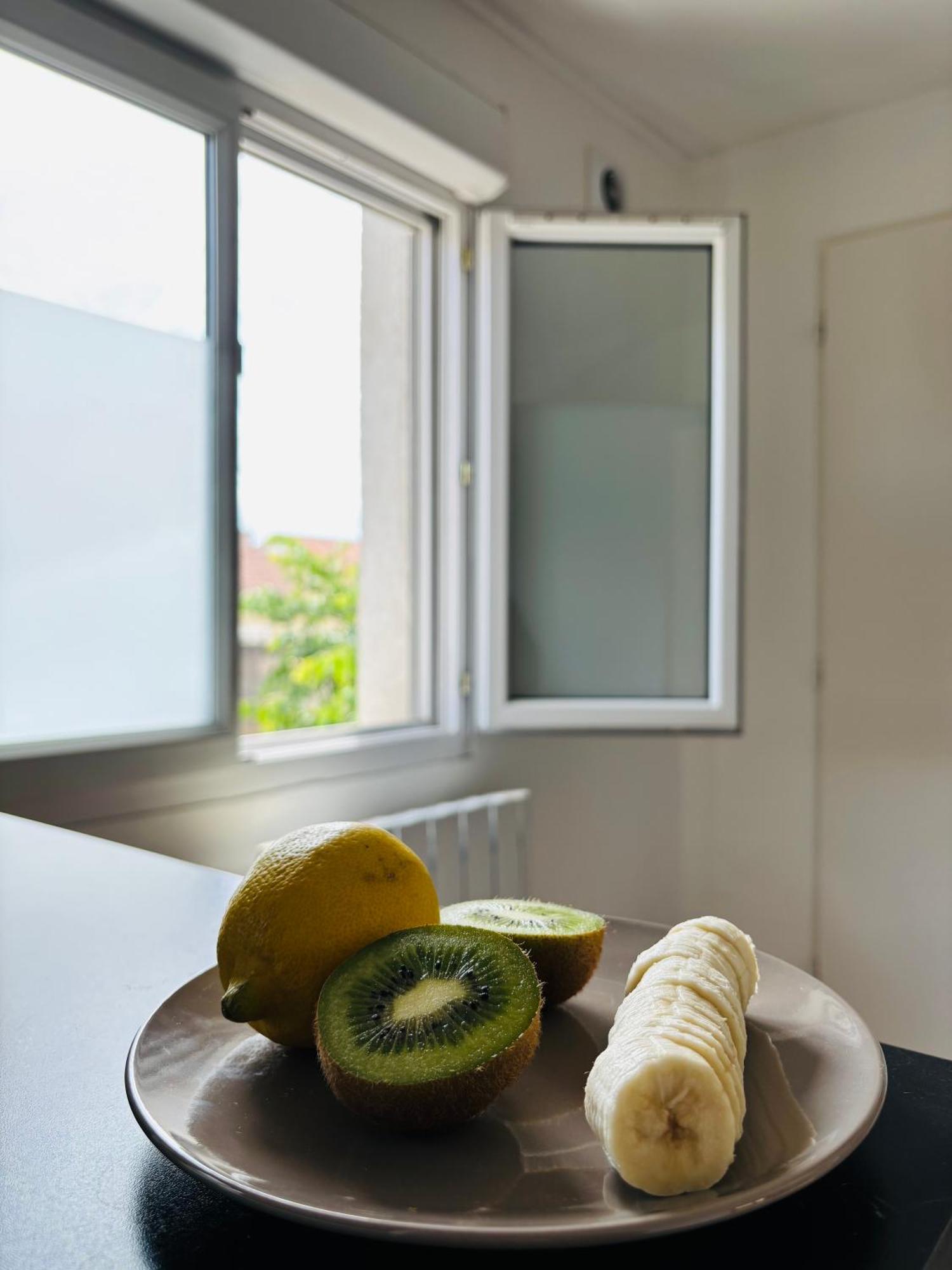 Appartement Avec Terrasse - Goupama Stadium, Eurexpo, Ldlc Arena, La Soie ヴォー・アン・ヴラン エクステリア 写真