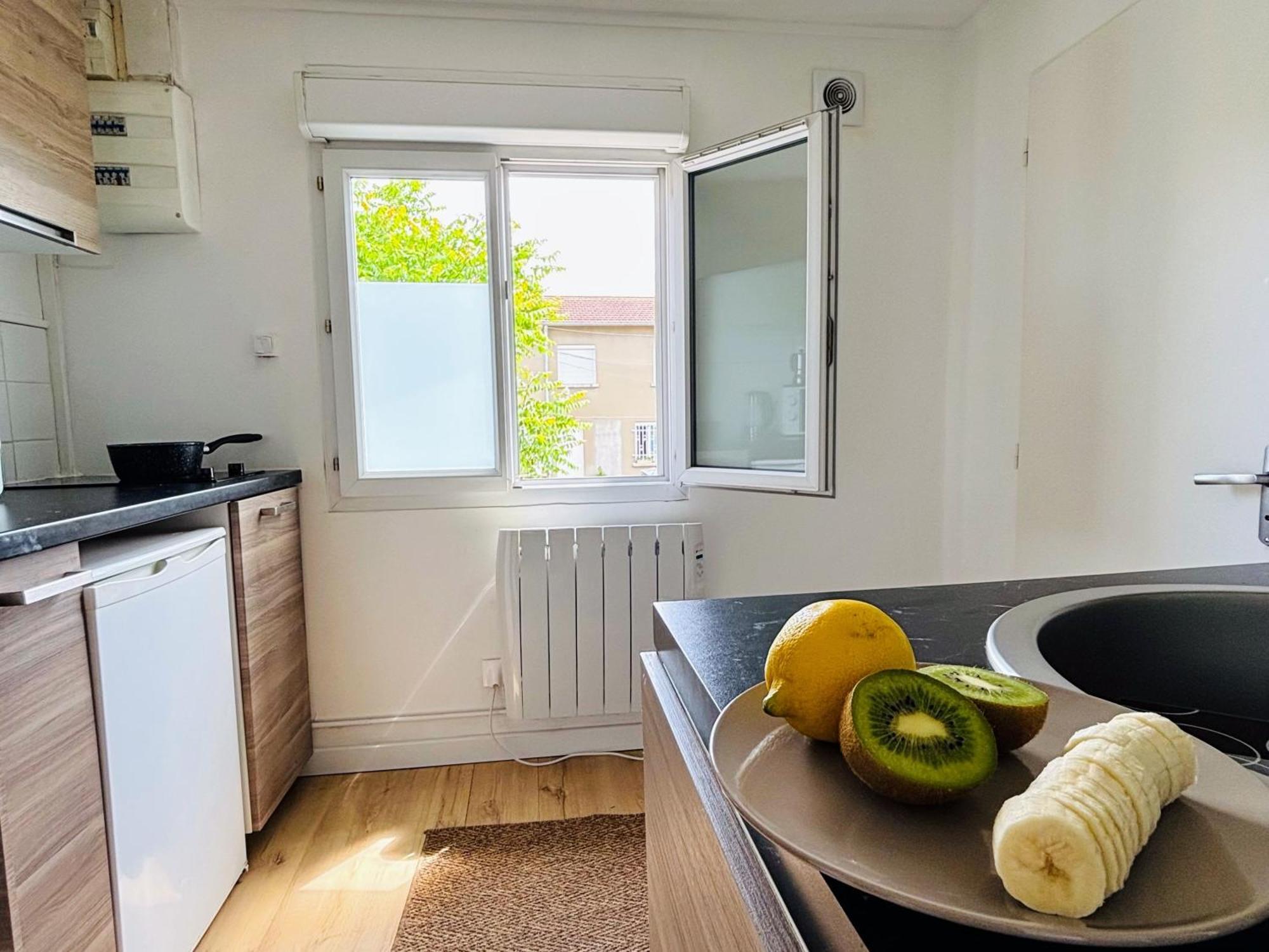Appartement Avec Terrasse - Goupama Stadium, Eurexpo, Ldlc Arena, La Soie ヴォー・アン・ヴラン エクステリア 写真
